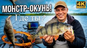 Рыбалка на спиннинг с лодки: Охота за большими окунями