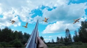 Бью влёт! Первые трофеи. Охота с подхода