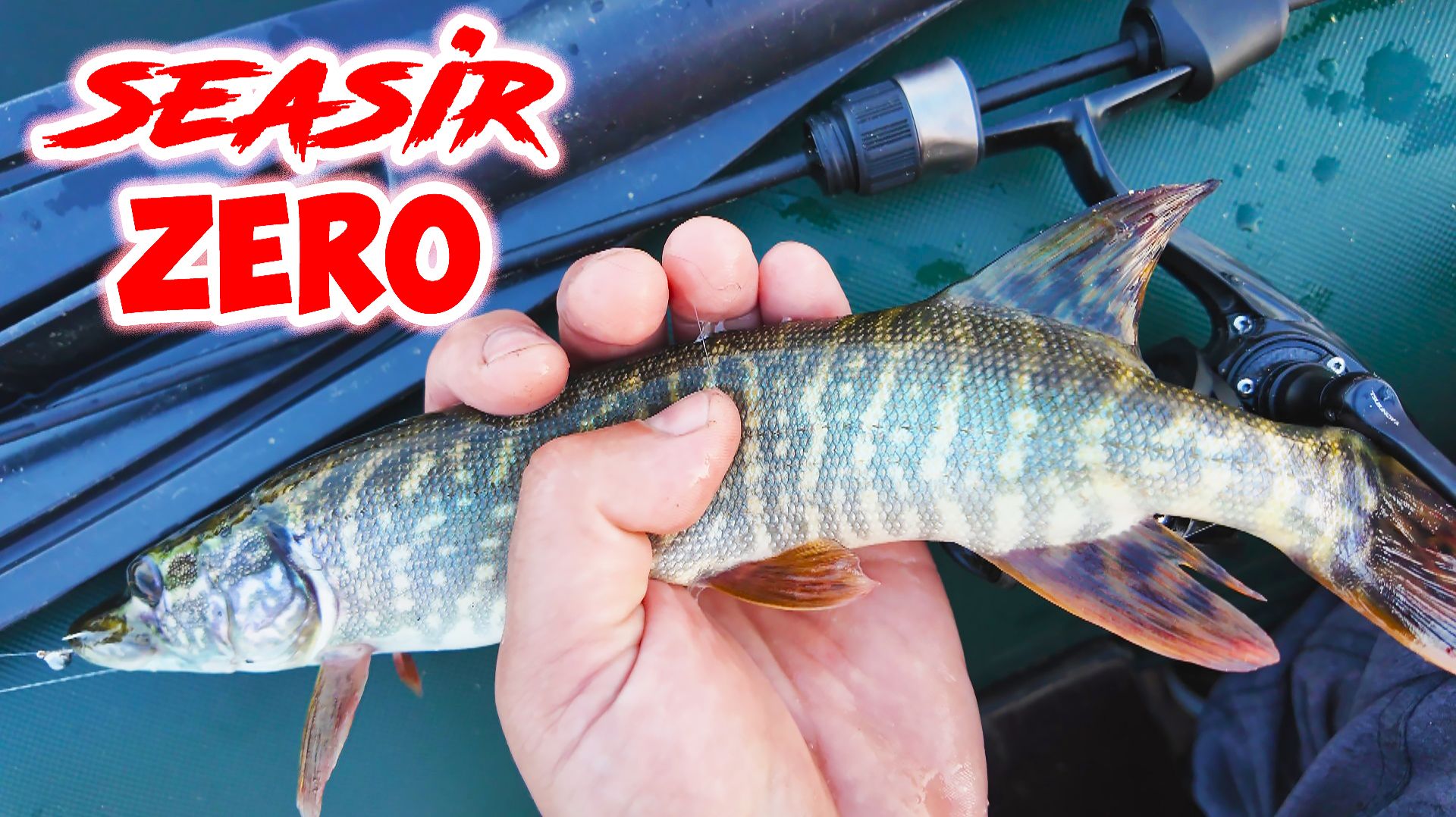 SEASIR ZERO! МОРМЫШИНГ ПО РАЗНОРЫБЬЮ И ОБЗОР! НЕБОЛЬШАЯ НЕПРИЯТНОСТЬ...