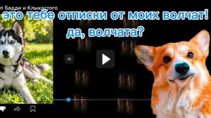 Реакция на реакцию!Юкиша (говорящая собака)