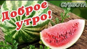Летнее доброе утро. Роскошная музыкальная открытка.