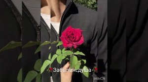 Цыганская Песня🪬мы с тобой теперь на ты🪬
не забудь поставить лайк 🫂