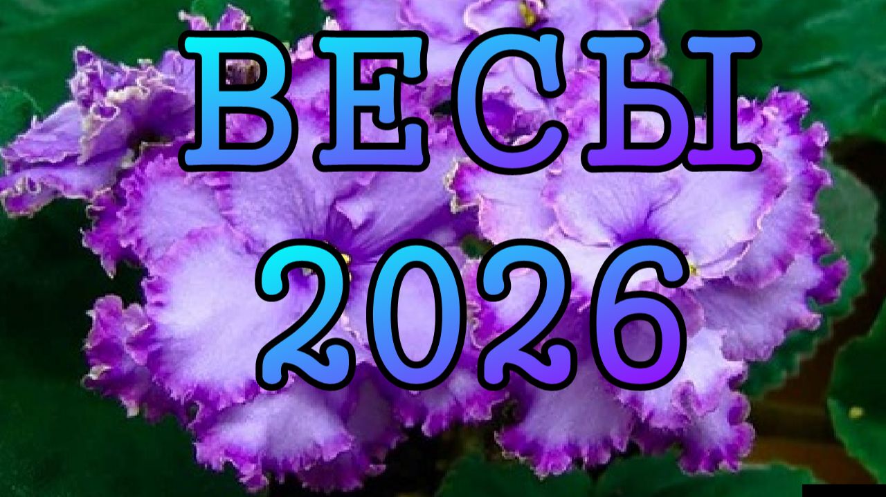 ВЕСЫ таро прогноз на 2026 ГОД.