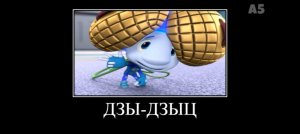 дзыц дзыц