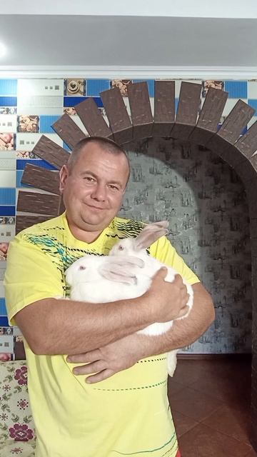 кролики