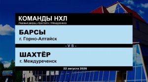 Барсы - Шахтёр