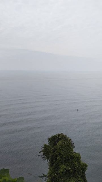 Батуми. Ботанический сад. Вид на море