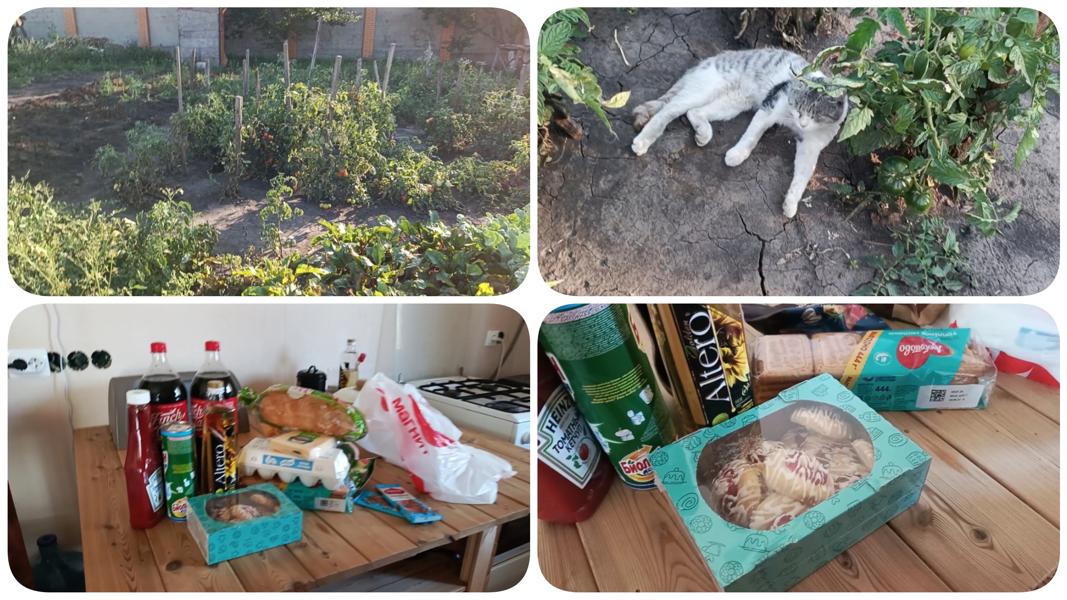 Пятница 21.08.2026 г. Доставка из Магнита. Закатываем томатный сок. Неспокойная обстановка.