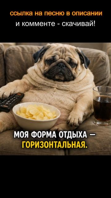 DKWX  - Навсегда с тобой #юмор #прикол #смешно #мем#настроение #танцы#romanticmusic #dancemusic