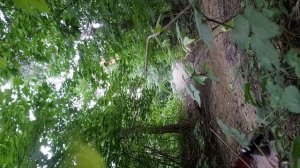 прикольная рампа в Сормовском парке можно скатываться с велосипеда
и самоката