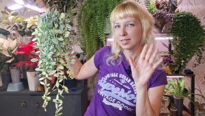 Новые растения, пересадка с сюрпризом