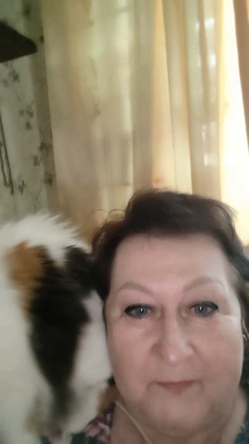 #мойпитомец