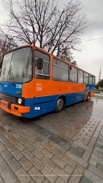 Экскурсии в дождь