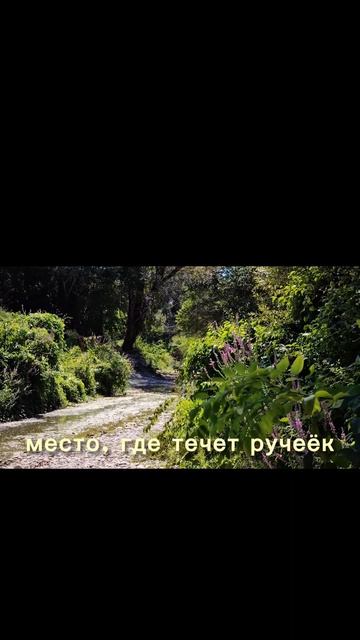 Собираем ежевику вместе 🤲
