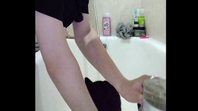 Кот Тигра кричит НЕТ! во время купания