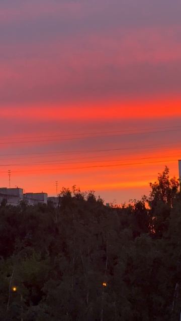Яркие летние закаты в Санкт-Петербурге