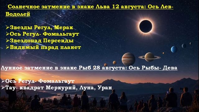 Выборы в России: кто победит