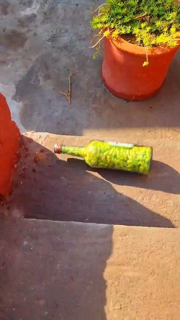 РАЗБИВАЕМ СТЕКЛЯННЫЕ БУТЫЛКИ И ЛОПАЕМ ШАРИКИ! АСМР | ЗАЛИПАТЕЛЬНОЕ ВИДЕО