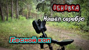 У меня снова обновка. Нашёл в лесу серебро.