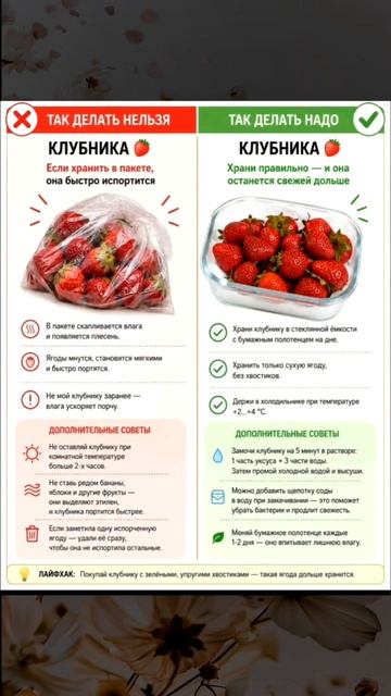 Клубника