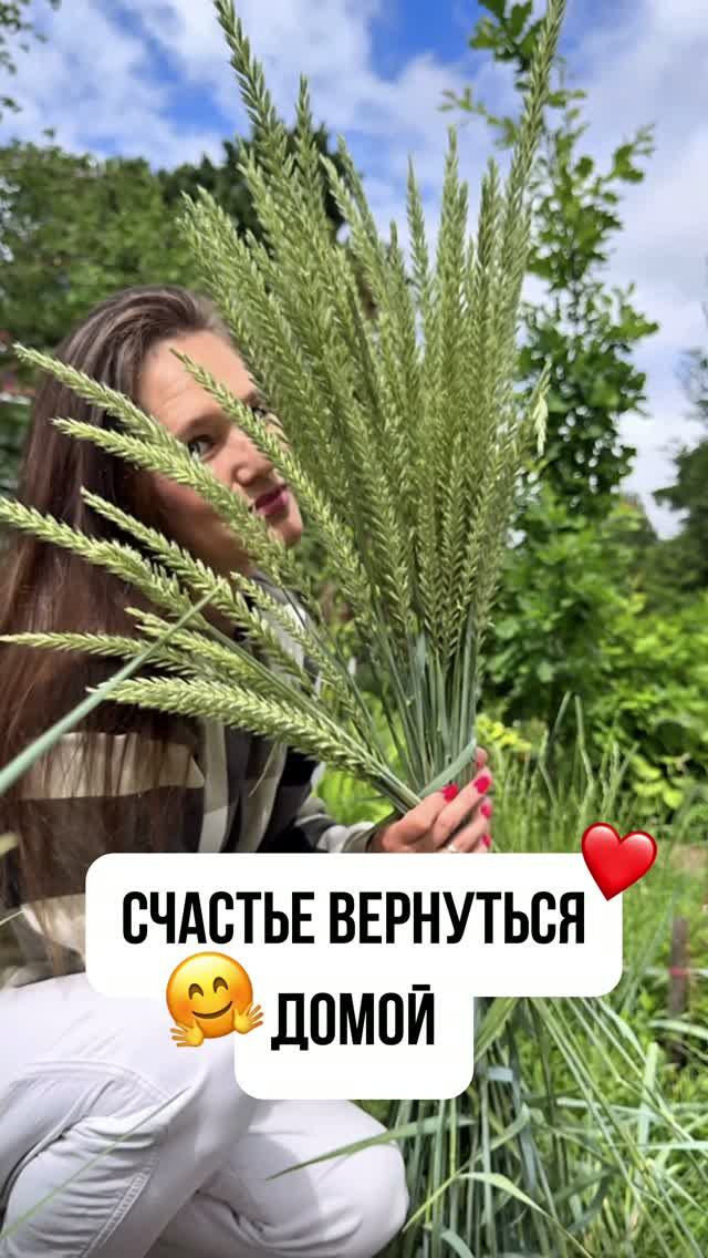 СЧАСТЬЕ ВЕРНУТСЯ ДОМОЙ
