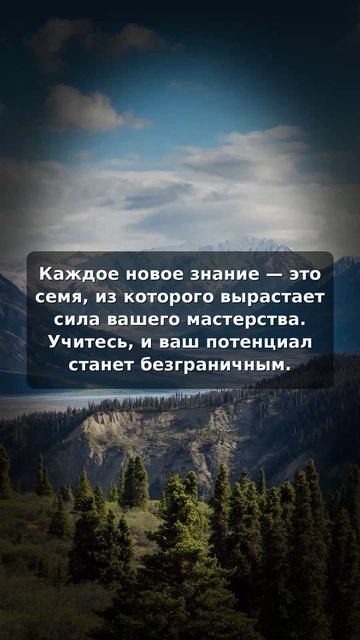 Обучение — семя, из которого вырастает ваше мастерство