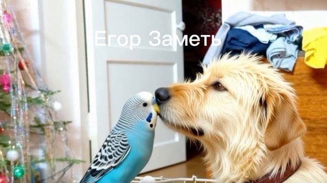 #Егорикеша.топзаметь