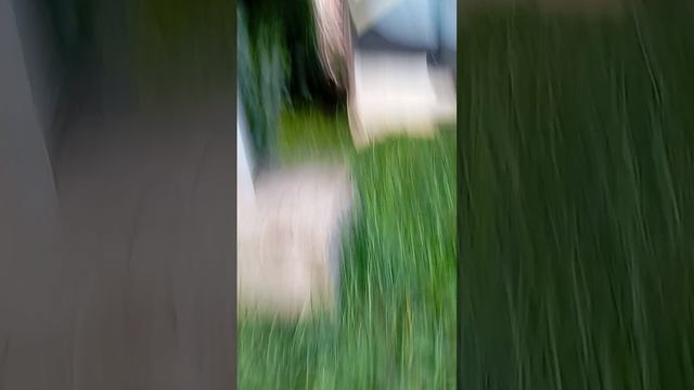 слежу за Максимом легендой