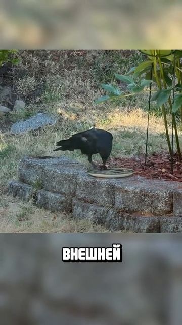 Я люблю всех животных😇