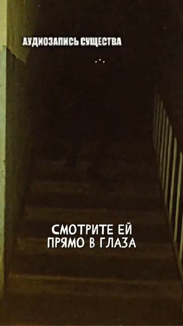 К.О.Н.Т.У.Р.
