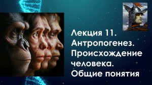 ДНК Генеалогия: Лекция 11 Антропогенез.Происхождение человека. Общие понятия