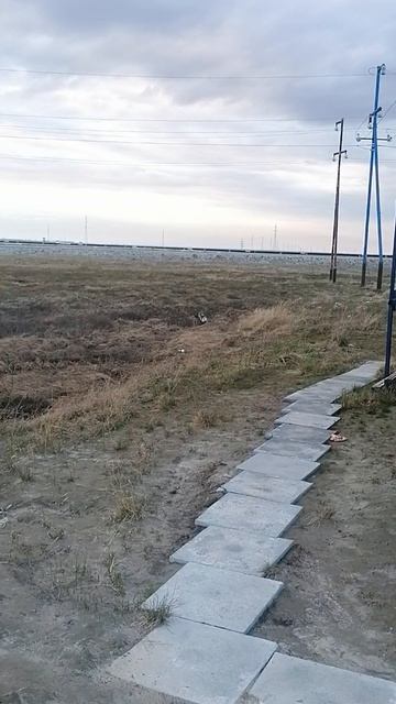 ОЛЕСЬКА КУХ РАБОТНИК МОЛОЧАГА