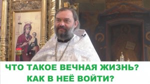 Что такое вечная жизнь? Как в нее войти? Священник Валерий Сосковец