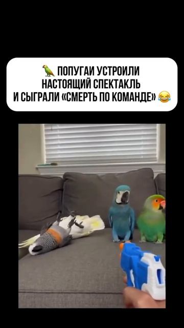 лучший драматический фильм 2026
