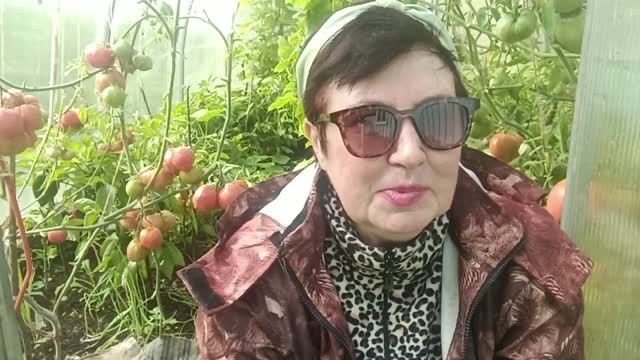 НА ДУРАКОВ ‼️ Я НЕ ОБРАЩАЮ ‼️ ВНИМАНИЯ