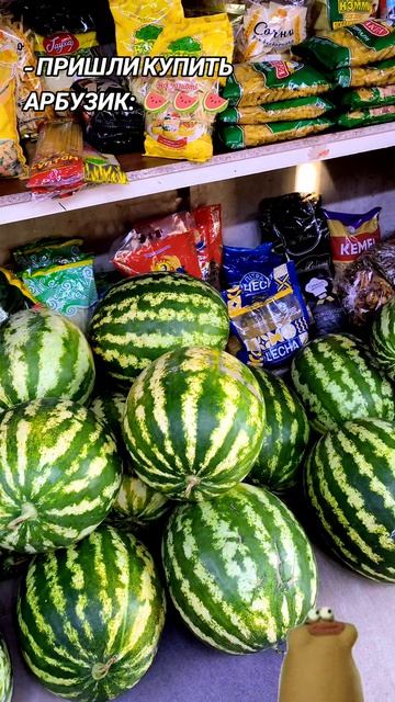 🍉🍉🍉🍉🍉🍉🍉🍉🍉🍉🍉