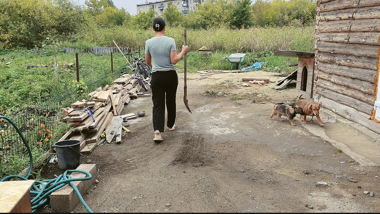 23-08-2026.  БОРЕМСЯ С ОГОРОДОМ. ЧИСТИМ ВСЕ И УБИРАЕМ. ДОМАШНИЕ ДЕЛА.