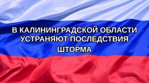 |Н. РФ| В Калининградской области устраняют последствия шторма