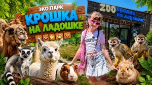 Зоопарк Крошка на ладошке в городе Волжский. #Крошканаладошке #зоопарк