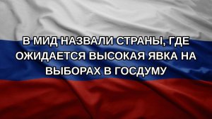 В МИД назвали страны, где ожидается высокая явка на выборах в Госдуму