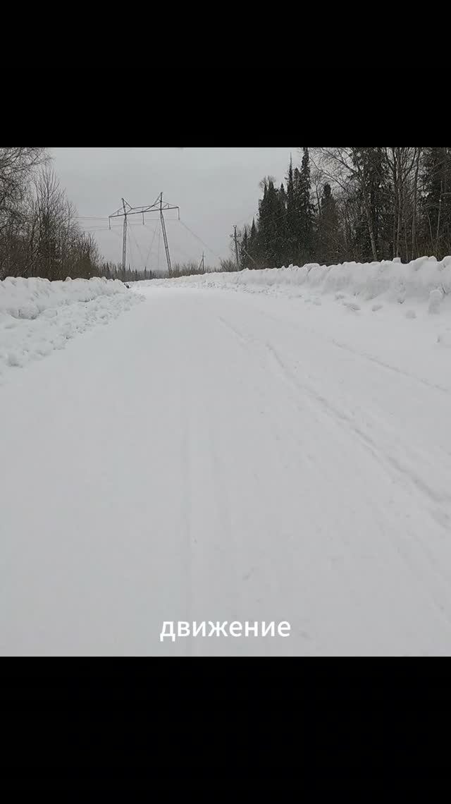 «Белый шум»