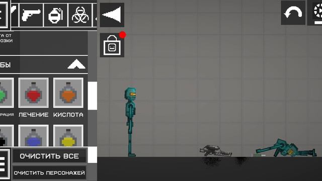 2919.mp4