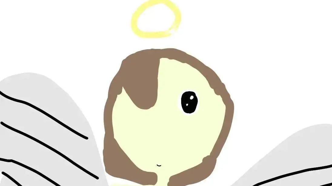 Рубрика: 