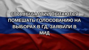 Страны Балтии пытаются помешать голосованию на выборах в ГД, заявили в МИД