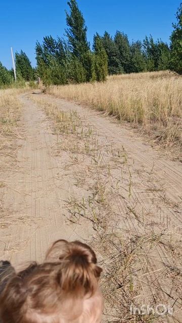 Идём на озеро, летний отдых