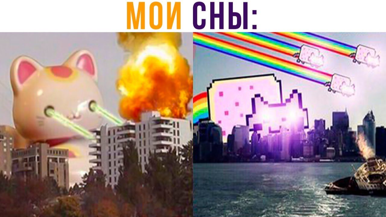 МОИ СНЫ))) Приколы