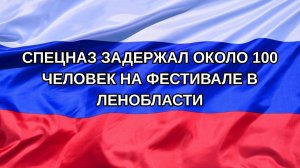 |Н. РФ| Спецназ задержал около 100 человек на фестивале в Ленобласти