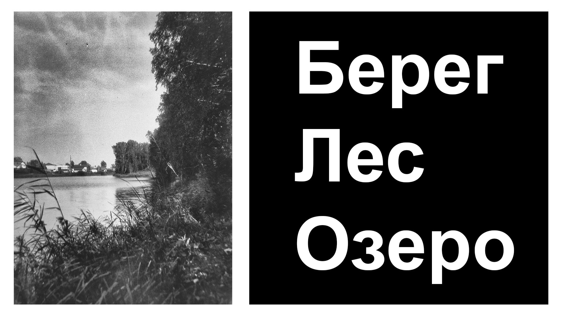 По старой железной дороге сквозь заросли