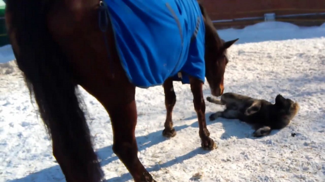 Кому холодно, кому жарко