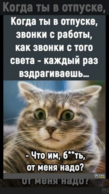 Отпуск . Юмор